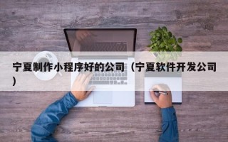 桓台宁夏制作小程序好的公司（宁夏软件开发公司）